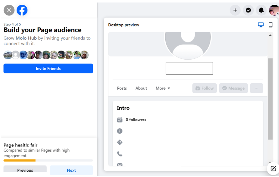 A snapshot of build your page audience